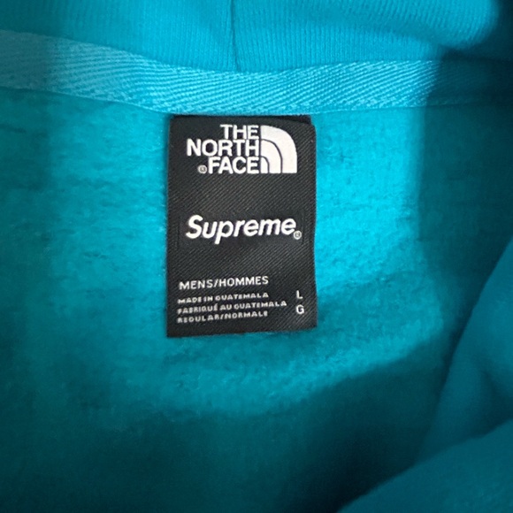 Supreme x The North Face Lenticular Mountains Hooded Sweatshirt in Teal - Picture 5 of 9
